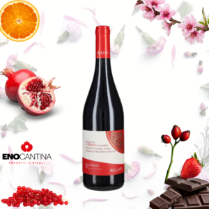 Il Manto - Nero d'Avola - Rallo