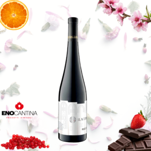 Rallo La Cuba Grillo 100%