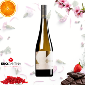 Bottiglia di Beleda Bianco Cantine Rallo vino bianco siciliano