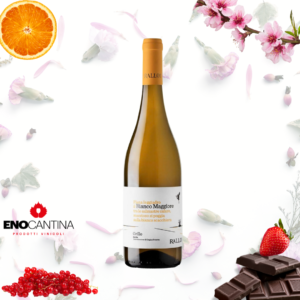 Bottiglia di Bianco Maggiore Cantine Rallo vino bianco siciliano