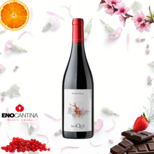 Bottiglia Maquè Porta del Vento Terre Siciliane IGT vino rosso biologico siciliano da Perricone coltivato sulle colline di Camporeale