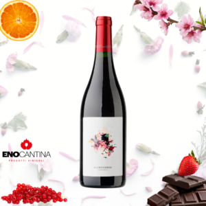 Bottiglia Altroverso Porta del Vento Terre Siciliane IGP vino rosso biologico da Nerello Mascalese prodotto sulle colline di Camporeale