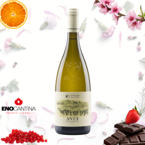 Bottiglia Ante Bianco dell’Etna DOC vino bianco siciliano minerale ed elegante da uve Carricante e Catarratto