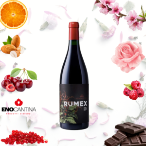 etna rosso premier cru 75cl Giulia monteleone