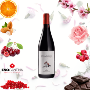 Vino rosso Giulia Monteleone etna rosso bottiglia 75cl