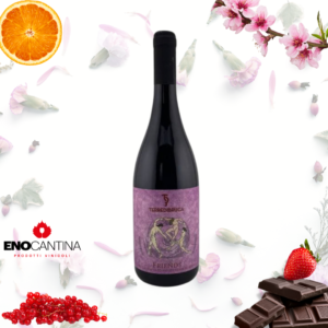 Terre di Bruca  Friends Frappato