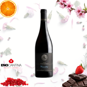 Bottiglia di vino rosso Maestro di Enza La Fauci, Sicilia DOC